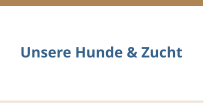Unsere Hunde & Zucht